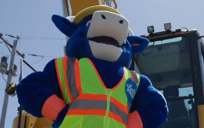 Meet Babe – Your Drive 210 Mascot